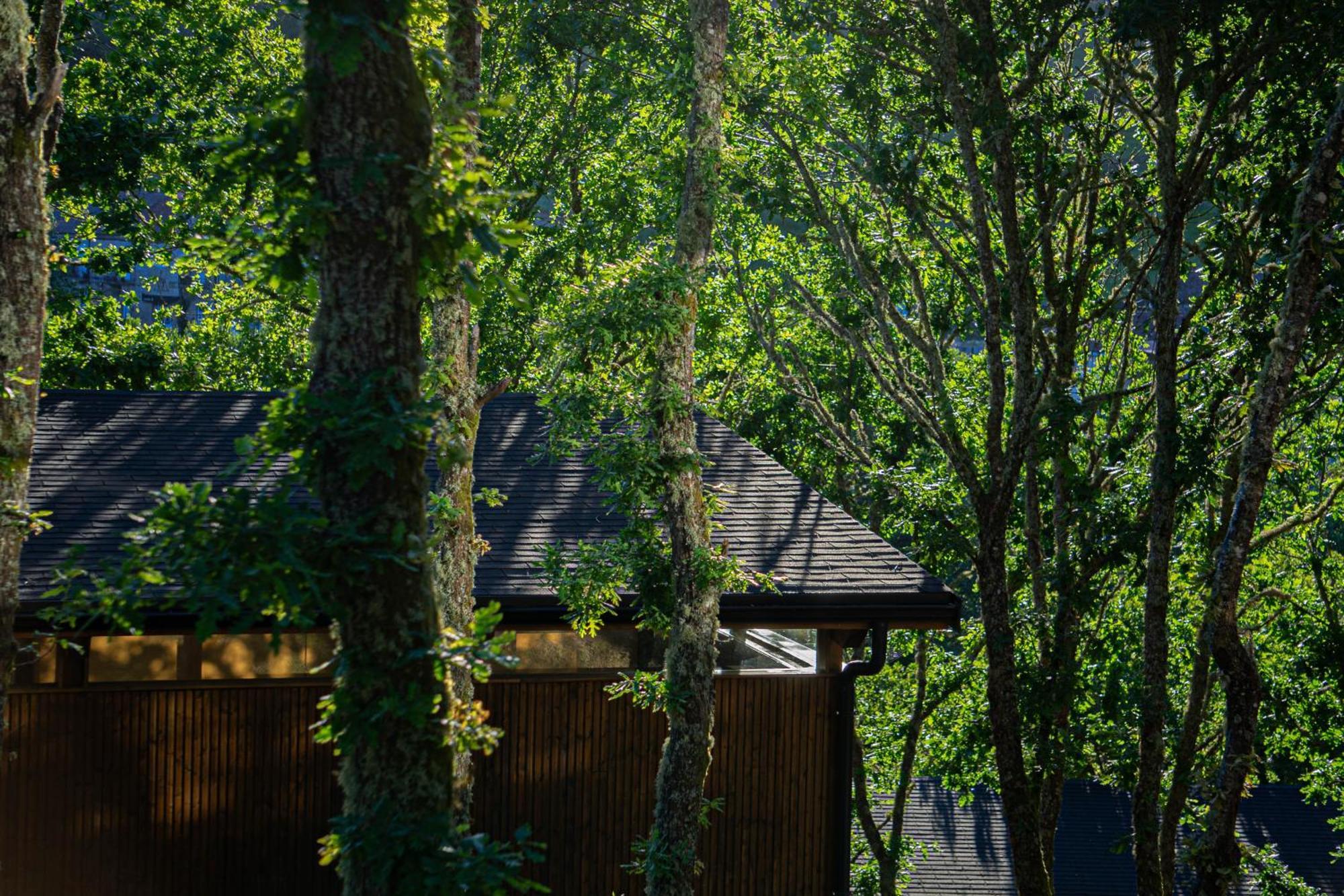 Casal Oseira Hotel Ourense Buitenkant foto